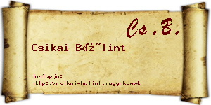 Csikai Bálint névjegykártya