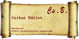 Csikai Bálint névjegykártya
