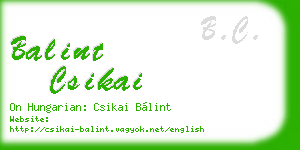 balint csikai business card